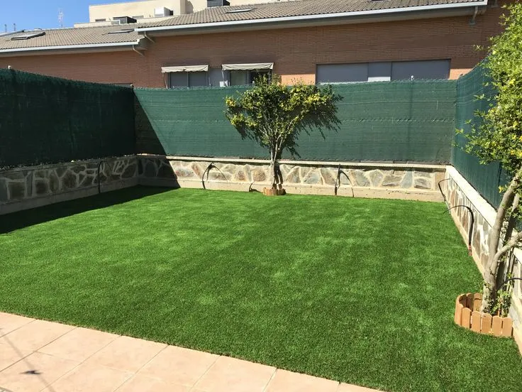 صورة المقال