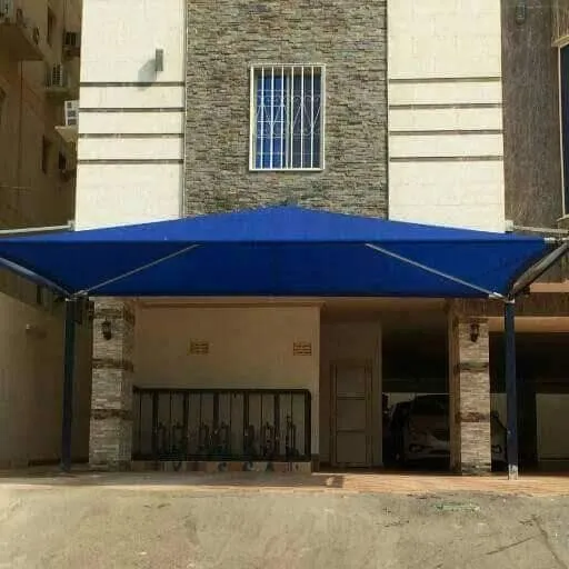 صورة المقال