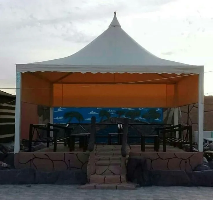 صورة المقال