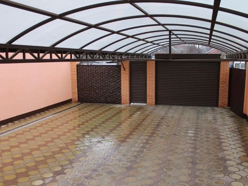 صورة المقال