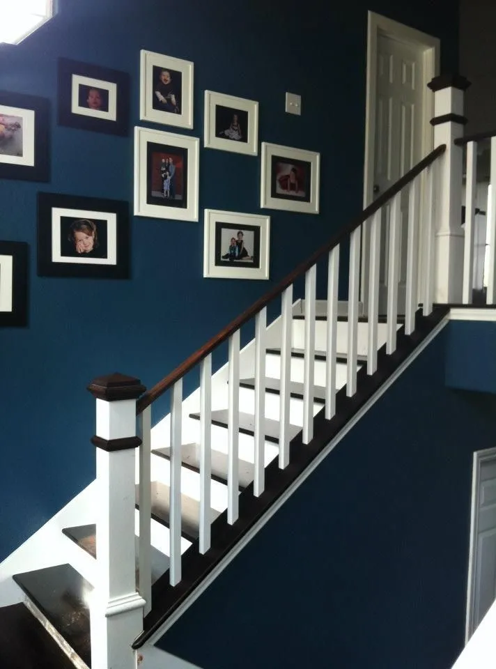 صورة المقال