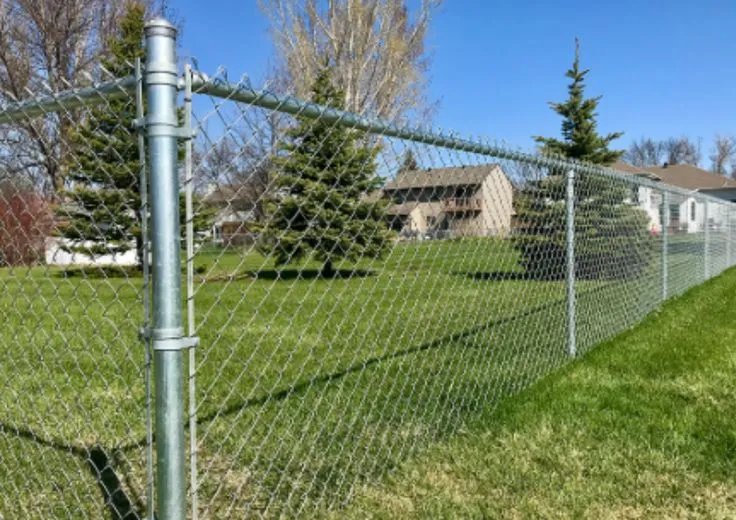 صورة المقال