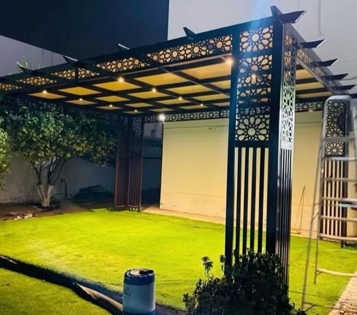 صورة المقال