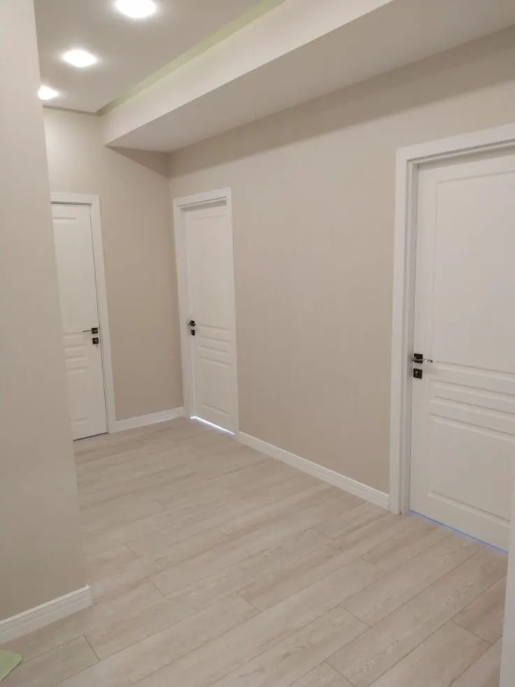 معلم اصباغ دهانات داخلية حديثة والوان هادئة