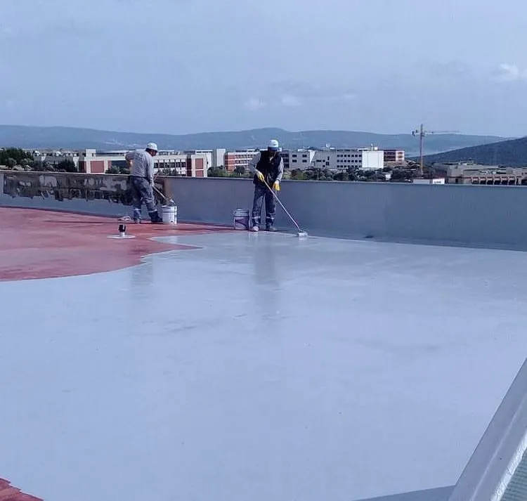 إصلاح شروخ الجدران  تسربات أسطح في الشرقية